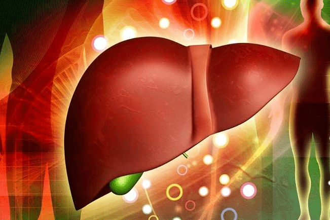 drug effects for potency on the liver