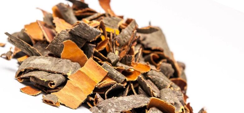 Aspen bark for the preparation of broths and injections that increase male potency