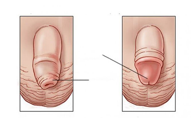 What task does a lubricant do